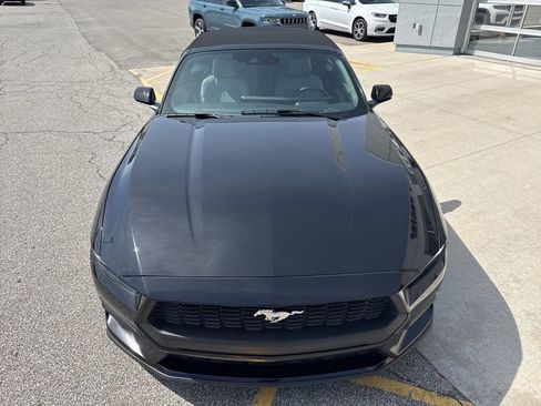 Used 2024 Ford Mustang Premium RWD image 11