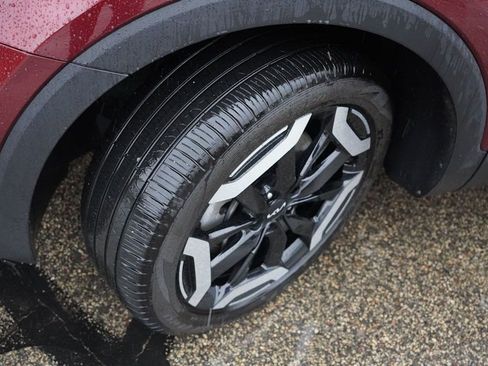 Certified 2024 Kia Telluride EX image 13