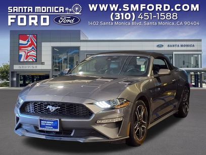 Used 2023 Ford Mustang Premium w/ Equipment Group 201A