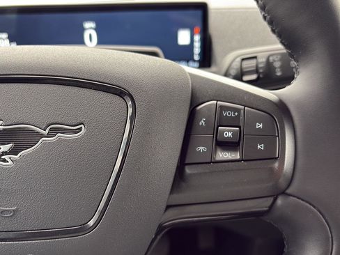 Used 2021 Ford Mustang Mach-E Premium image 11