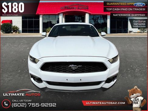 Used 2015 Ford Mustang Coupe w/ Equipment Group 051A RWD image 6