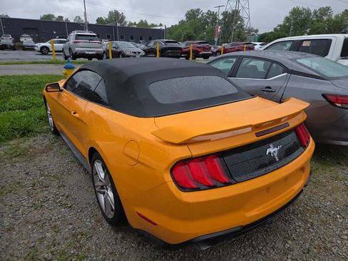 Used 2019 Ford Mustang Premium w/ Pony Package RWD image 4