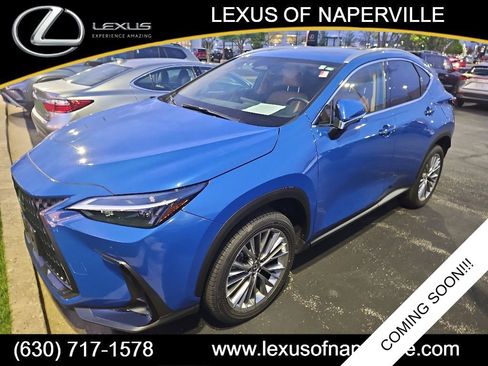 Used 2025 Lexus NX 350 AWD w/ Cold Area Package image 1