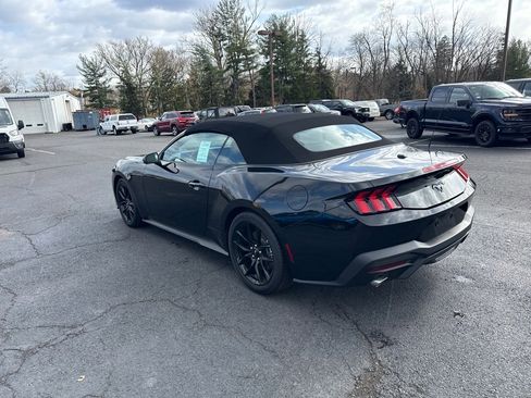 New 2025 Ford Mustang EcoBoost w/ Mustang Nite Pony Package image 10