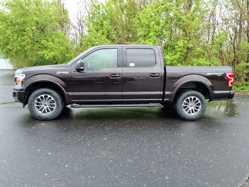 Used 2019 Ford F150 XLT w/ Equipment Group 302A Luxury AWD/4WD image 4