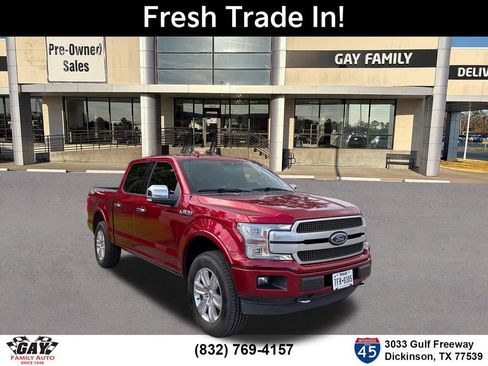 Used 2019 Ford F150 Platinum w/ Equipment Group 701A Luxury AWD/4WD image 1
