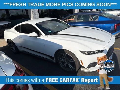 Used 2025 Ford Mustang Coupe RWD image 3