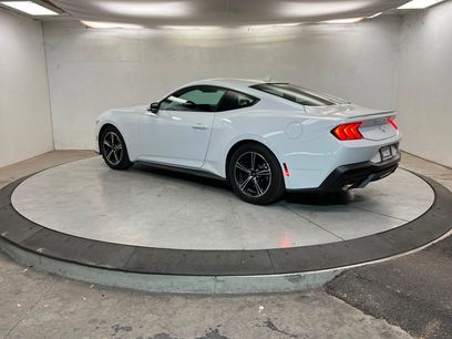 Used 2025 Ford Mustang Premium