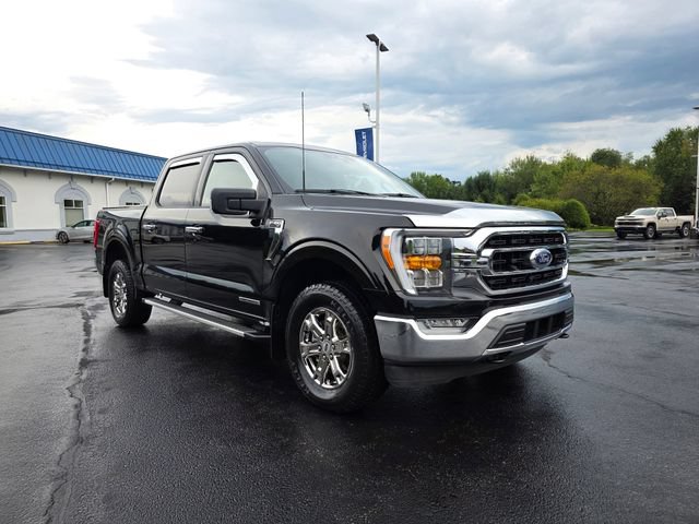 Used 2023 Ford F150 XLT w/ Equipment Group 302A High AWD/4WD image 10
