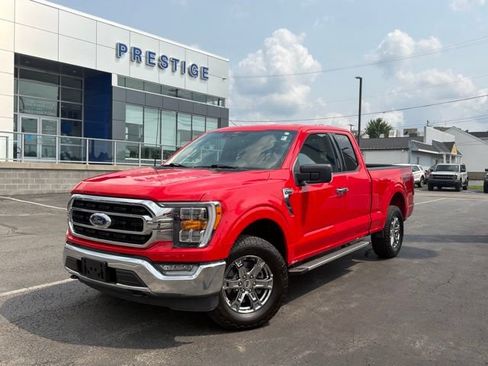 Used 2023 Ford F150 XLT w/ Equipment Group 302A High AWD/4WD image 1