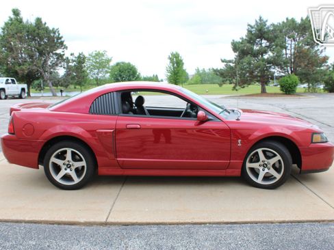 Used 2003 Ford Mustang Cobra RWD image 16