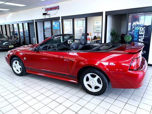 Used 2004 Ford Mustang Convertible RWD image 4
