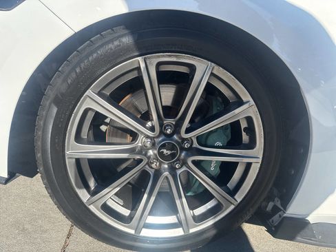 Used 2019 Ford Mustang GT w/ Equipment Group 301A image 17