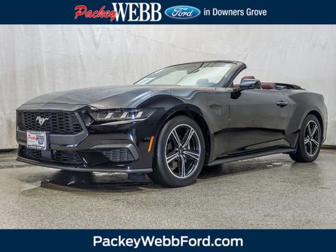 Used 2025 Ford Mustang Premium RWD image 1