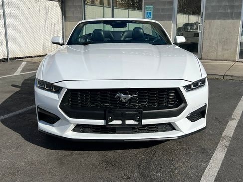 Used 2024 Ford Mustang Premium image 2
