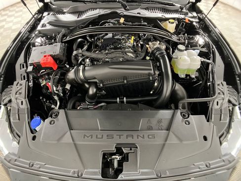 New 2025 Ford Mustang Premium w/ Mustang Nite Pony Package image 18