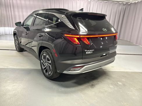 New 2026 Hyundai Tucson Limited image 5