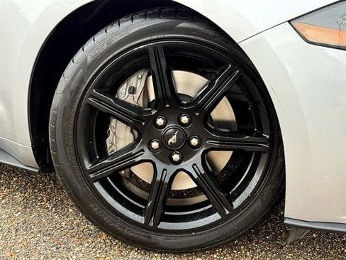 Used 2020 Ford Mustang GT w/ Equipment Group 301A image 44