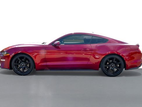 Used 2019 Ford Mustang Coupe w/ Black Accent Package image 11