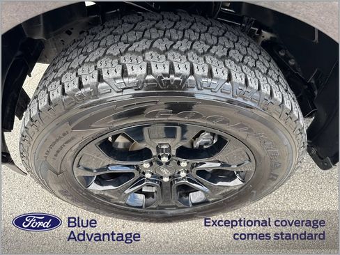 Used 2022 Ford F150 XL w/ STX Black Appearance Package AWD/4WD image 12
