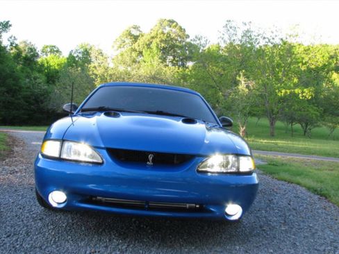 Used 1998 Ford Mustang Cobra image 3