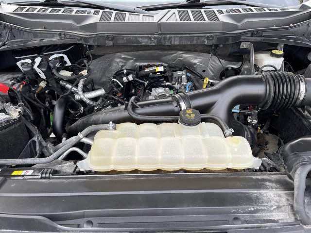 Certified 2023 Ford F150 XL w/ STX Appearance Package AWD/4WD image 3