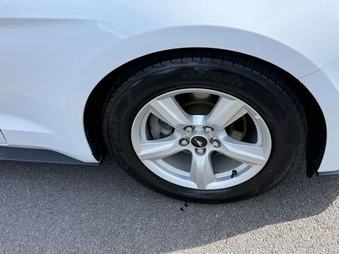 Used 2019 Ford Mustang Coupe RWD image 12