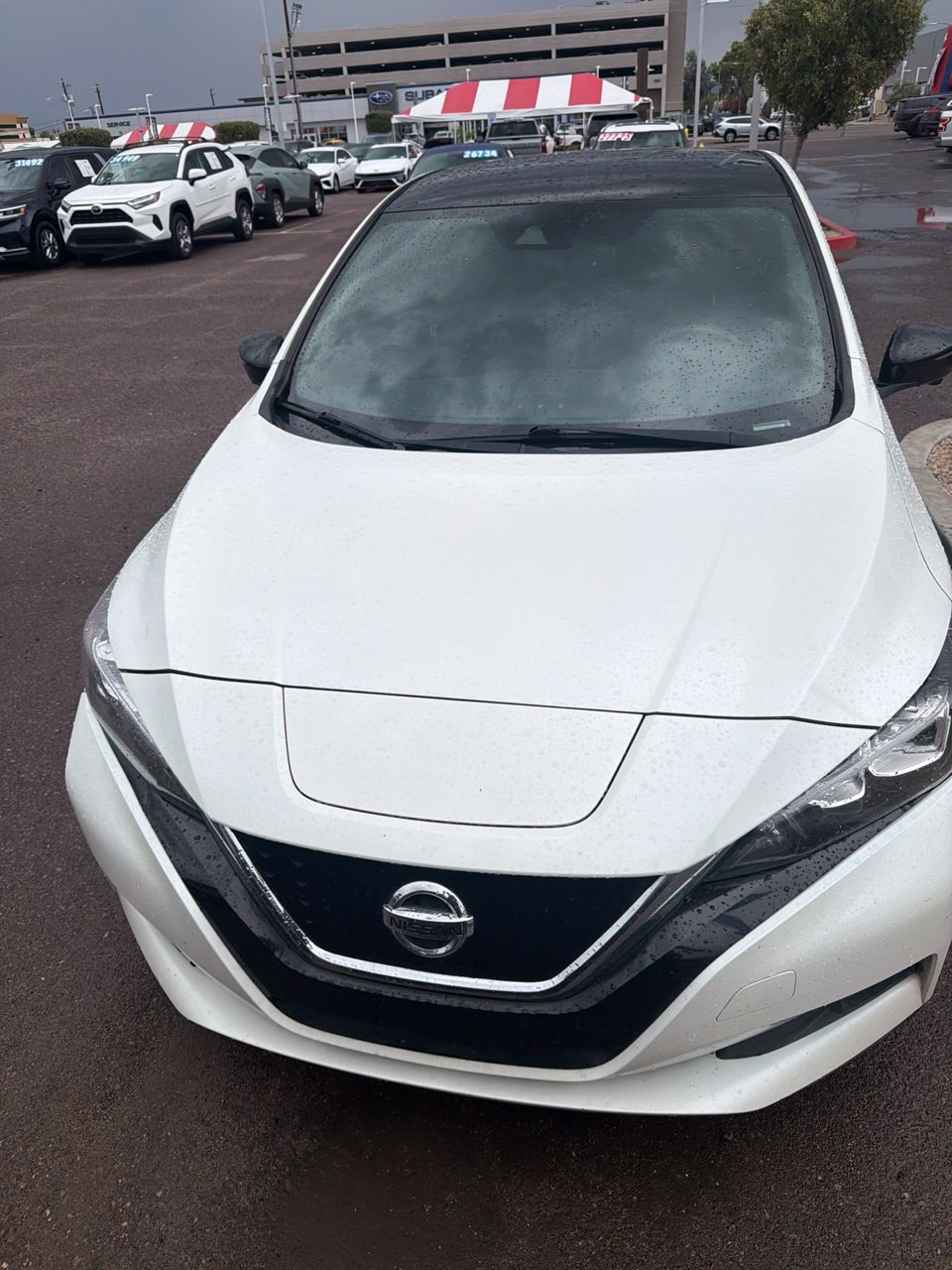 Used 2021 Nissan Leaf SL Plus FWD image 3