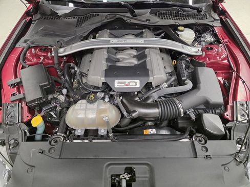 Used 2017 Ford Mustang GT Premium w/ Equipment Group 401A image 62