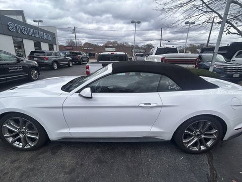 Used 2023 Ford Mustang Premium w/ Equipment Group 201A image 4