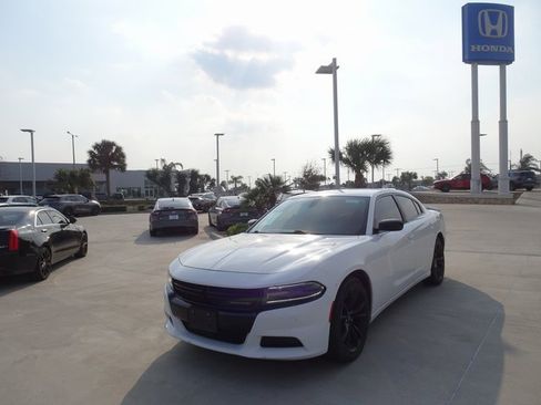 Used 2018 Dodge Charger SXT w/ Blacktop Package image 1