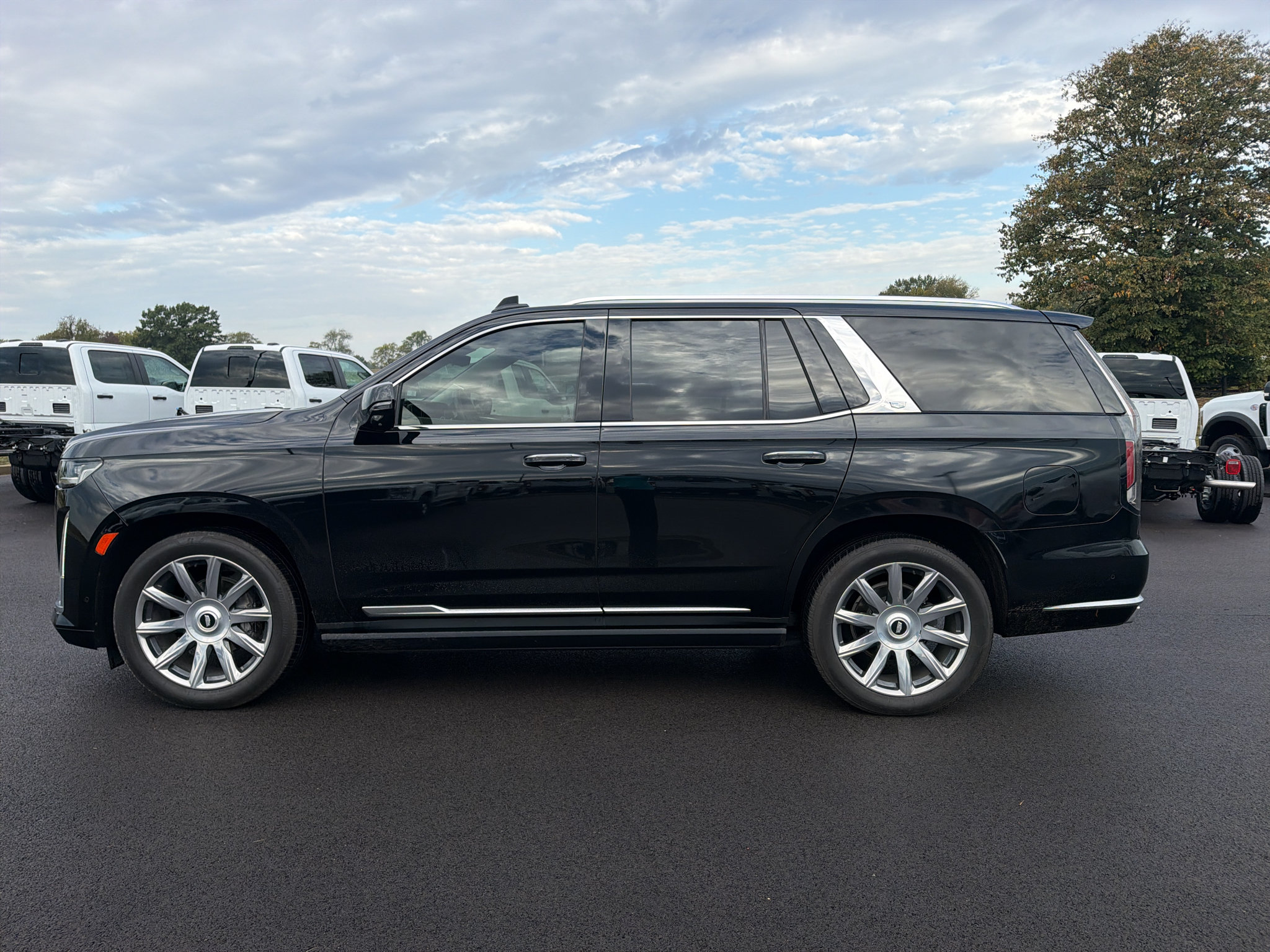 Used 2021 Cadillac Escalade Premium Luxury Platinum AWD/4WD image 8