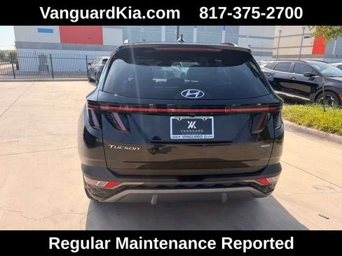 Used 2024 Hyundai Tucson Limited AWD/4WD image 3