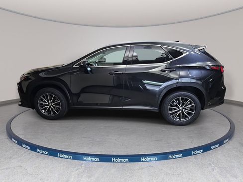 Used 2024 Lexus NX 350h AWD w/ Cold Area Package image 9
