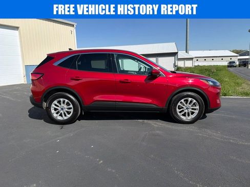 Used 2021 Ford Escape SE AWD/4WD image 3