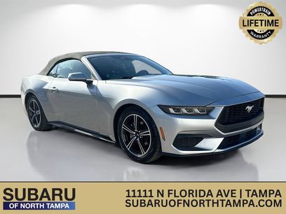 Used 2024 Ford Mustang Premium
