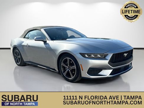 Used 2024 Ford Mustang Premium RWD image 1