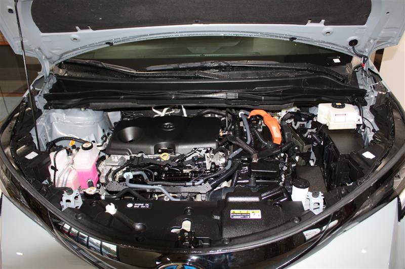 Used 2025 Toyota Sienna XLE Woodland Edition AWD/4WD image 14