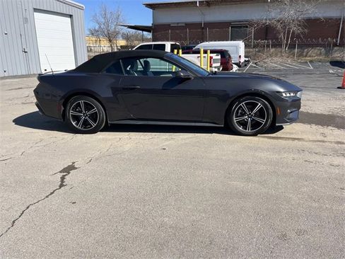 Certified 2024 Ford Mustang Premium image 2