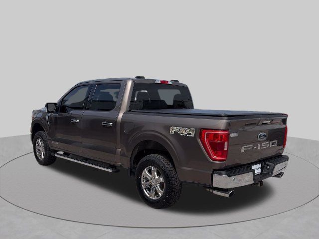 Used 2023 Ford F150 XLT w/ Equipment Group 302A High AWD/4WD image 3