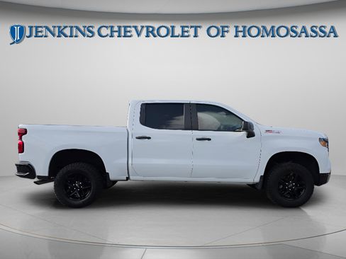 Used 2024 Chevrolet Silverado 1500 Custom Trail Boss AWD/4WD image 3