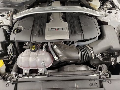 Used 2019 Ford Mustang GT Premium w/ Equipment Group 401A image 8