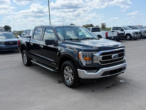 Used 2023 Ford F150 XLT w/ Equipment Group 302A High AWD/4WD image 2