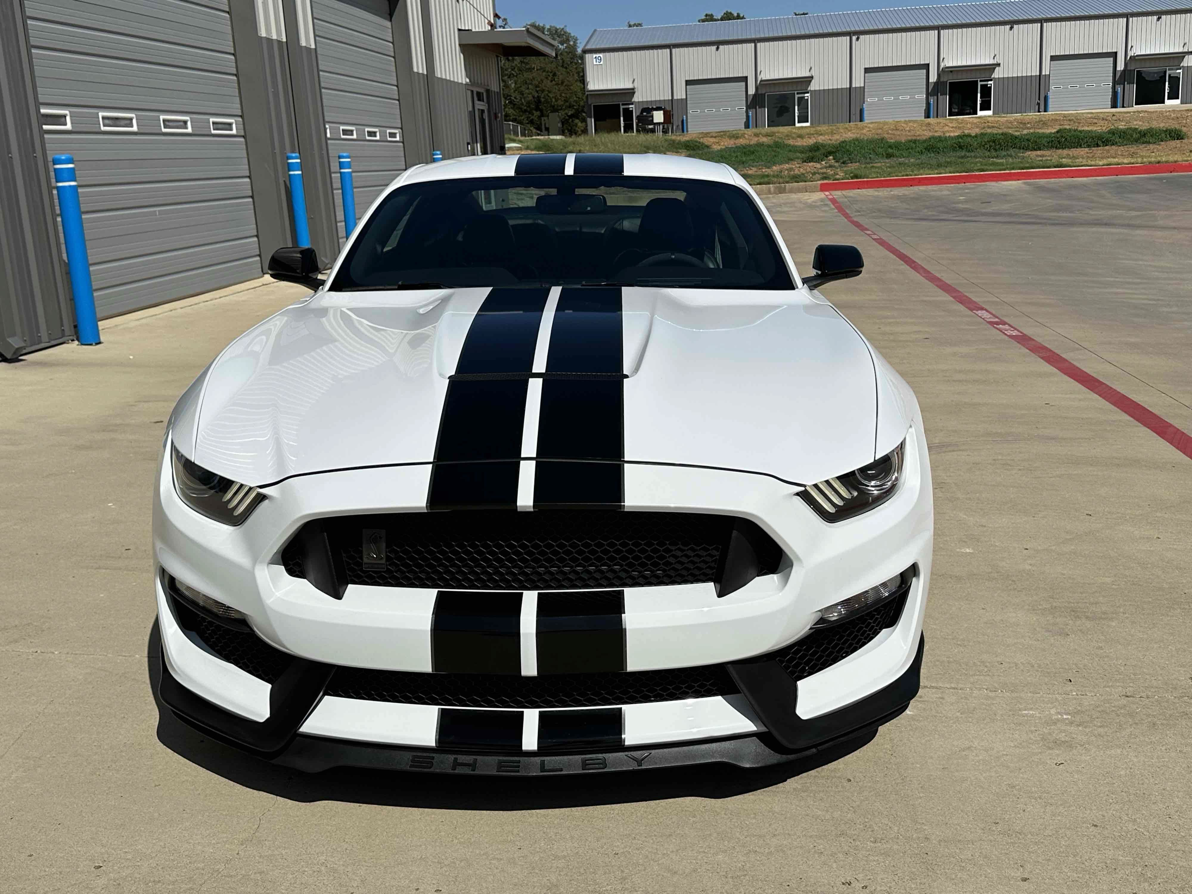Used 2019 Ford Mustang Shelby GT350 w/ Technology Package RWD image 8