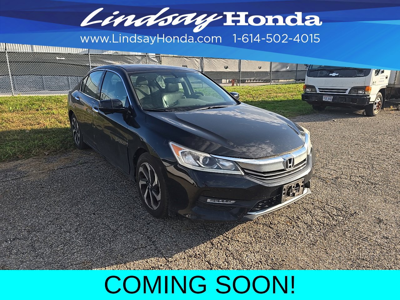 Used 2017 Honda Accord EX-L image 3