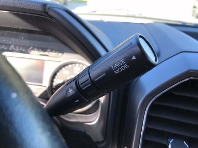 Used 2019 Ford F150 XLT w/ Equipment Group 302A Luxury AWD/4WD image 32