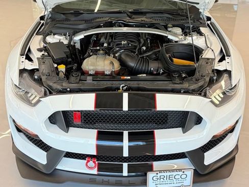 Used 2017 Ford Mustang Shelby GT350R w/ GT350R Equipment Group 920A RWD image 14
