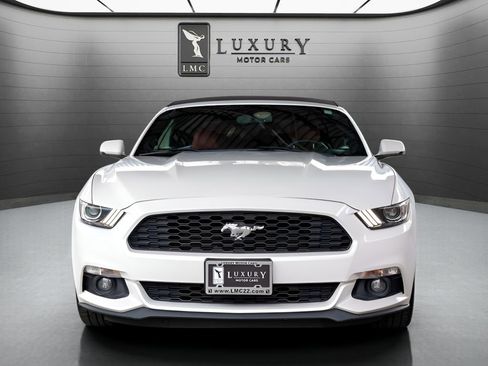 Used 2017 Ford Mustang Premium w/ Equipment Group 201A RWD image 3