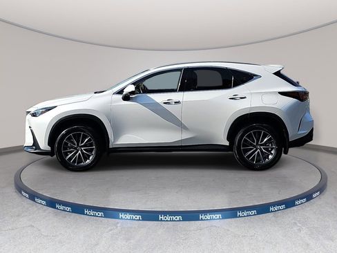 Used 2025 Lexus NX 350h AWD w/ Cold Area Package image 9