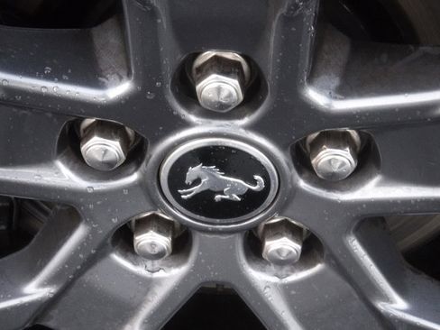 Used 2021 Ford Bronco Sport Big Bend w/ Big Bend Package (96B) image 4